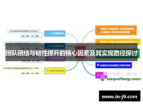 团队团结与韧性提升的核心因素及其实现路径探讨