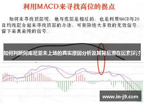 如何判断阿库尼亚未上场的真实原因分析及其背后潜在因素探讨
