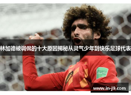林加德被调侃的十大原因揭秘从灵气少年到快乐足球代表