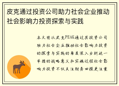 皮克通过投资公司助力社会企业推动社会影响力投资探索与实践