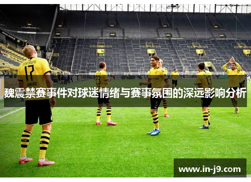魏震禁赛事件对球迷情绪与赛事氛围的深远影响分析