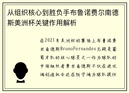 从组织核心到胜负手布鲁诺费尔南德斯美洲杯关键作用解析